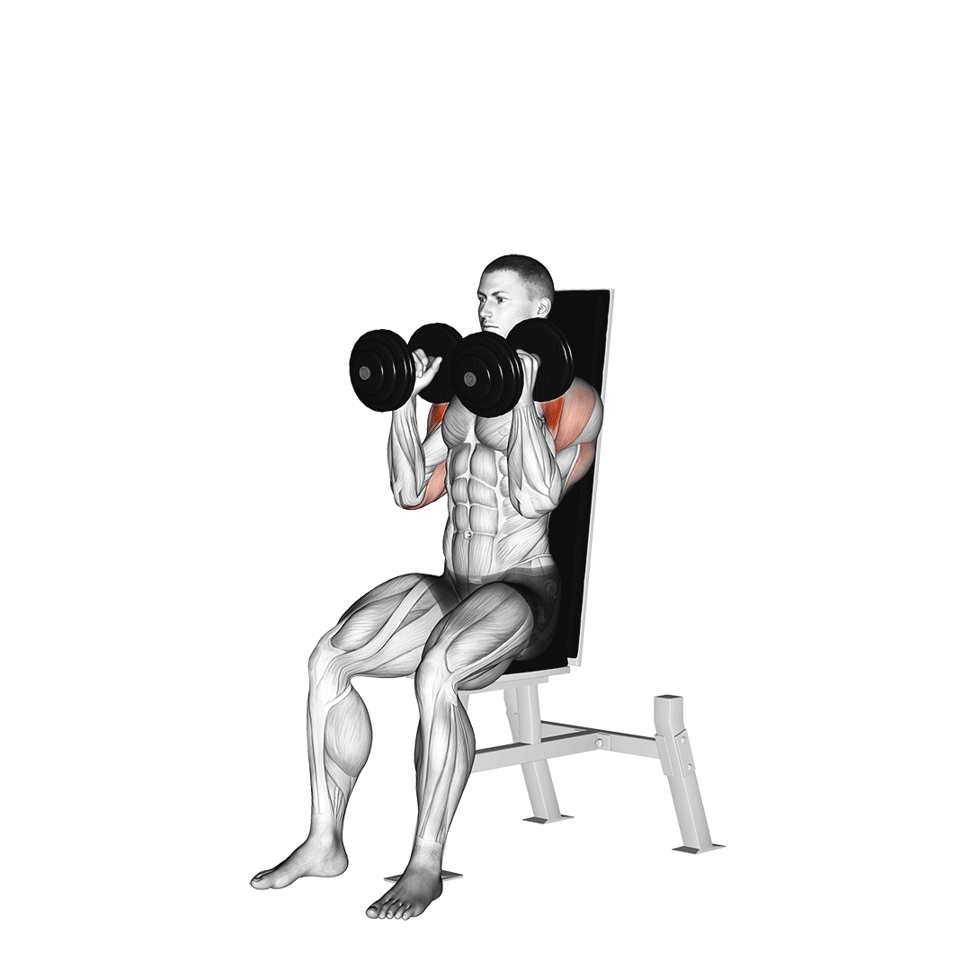 dumbbell seated shoulder press (parallel grip)