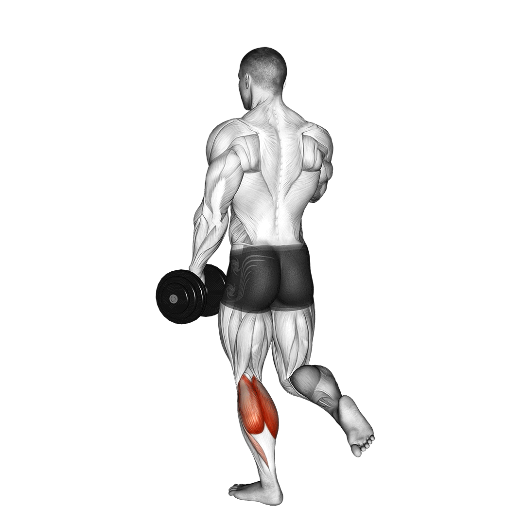 dumbbell single leg calf raise