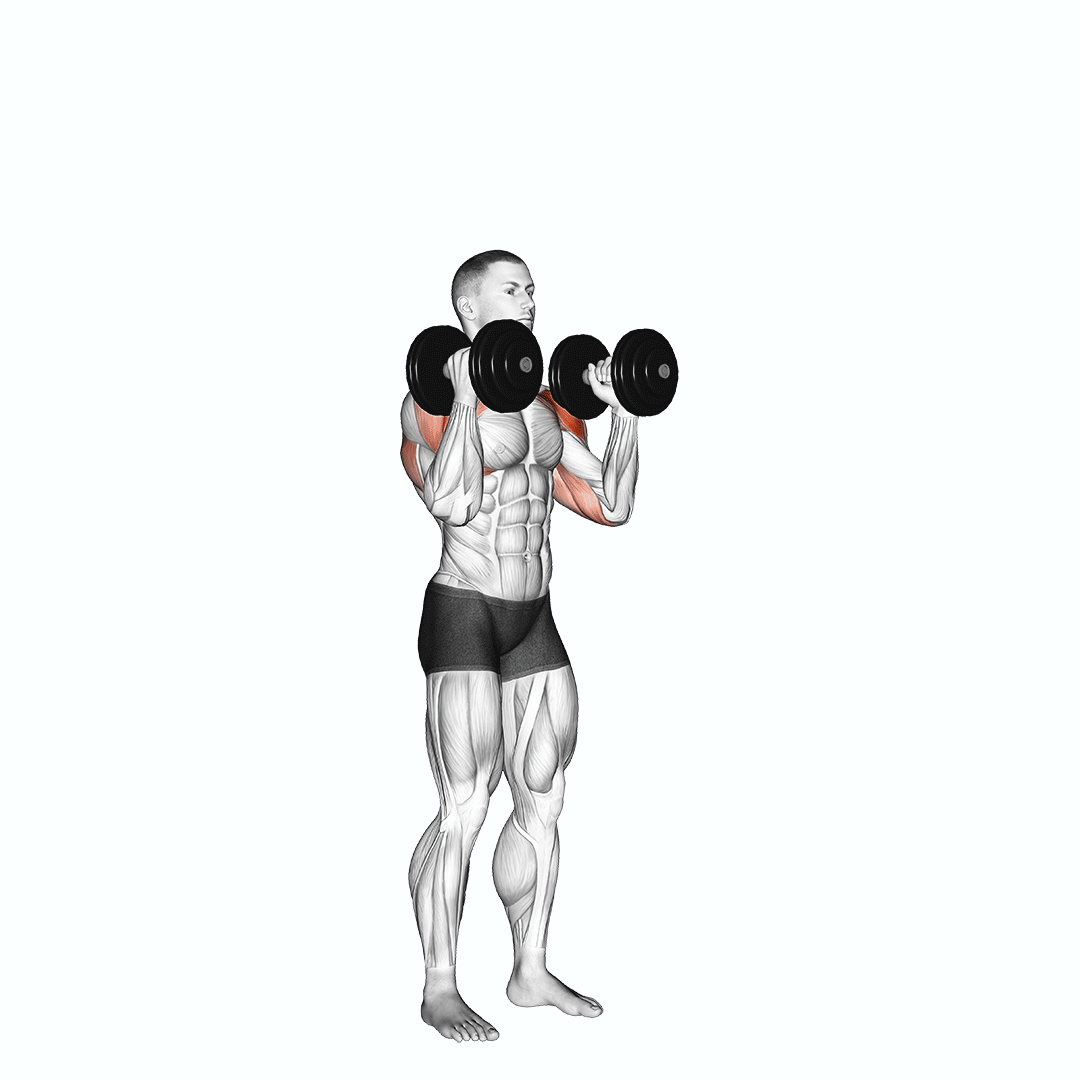 dumbbell standing alternate overhead press