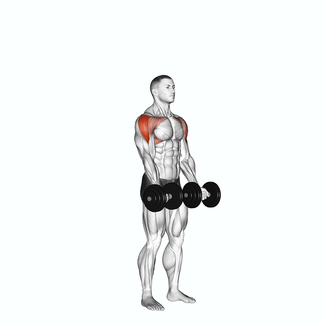 dumbbell standing around world