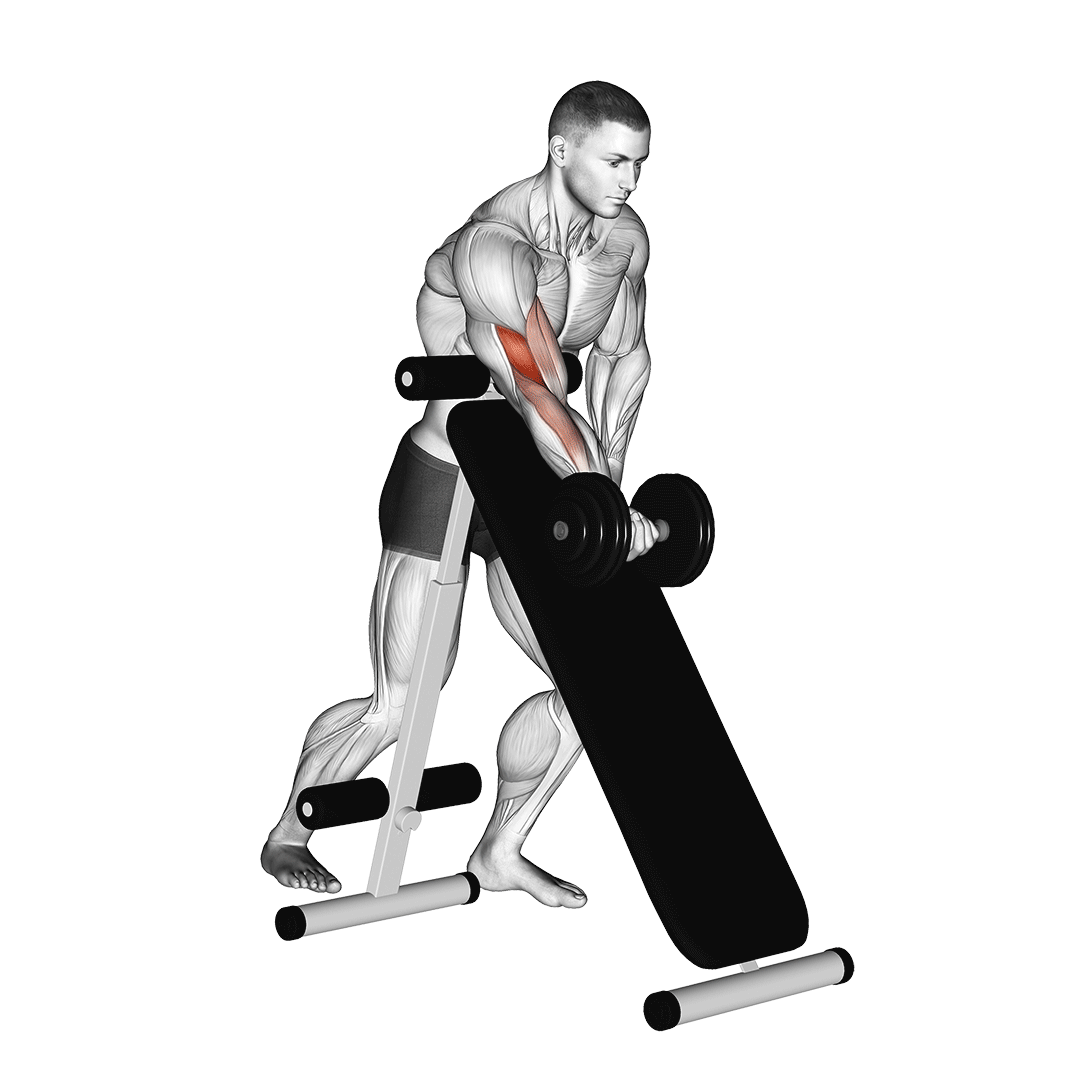 dumbbell standing one arm curl over incline bench