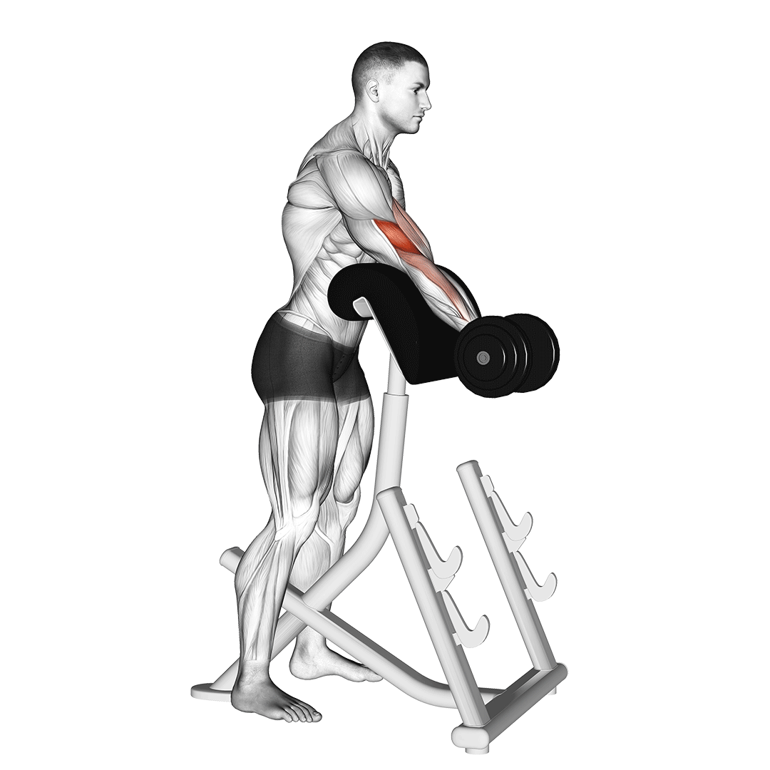 dumbbell standing preacher curl