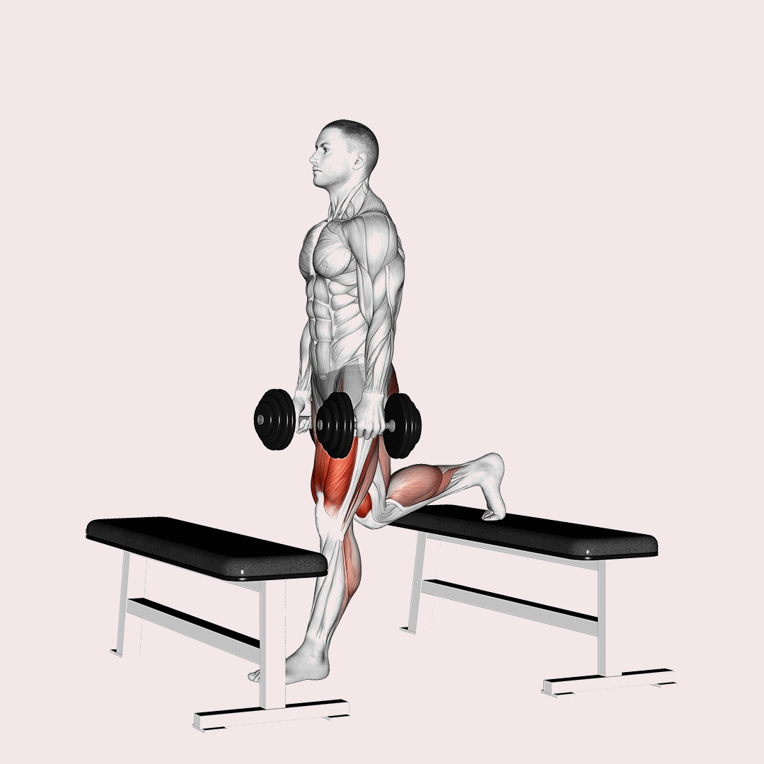 dumbbell step-up split squat