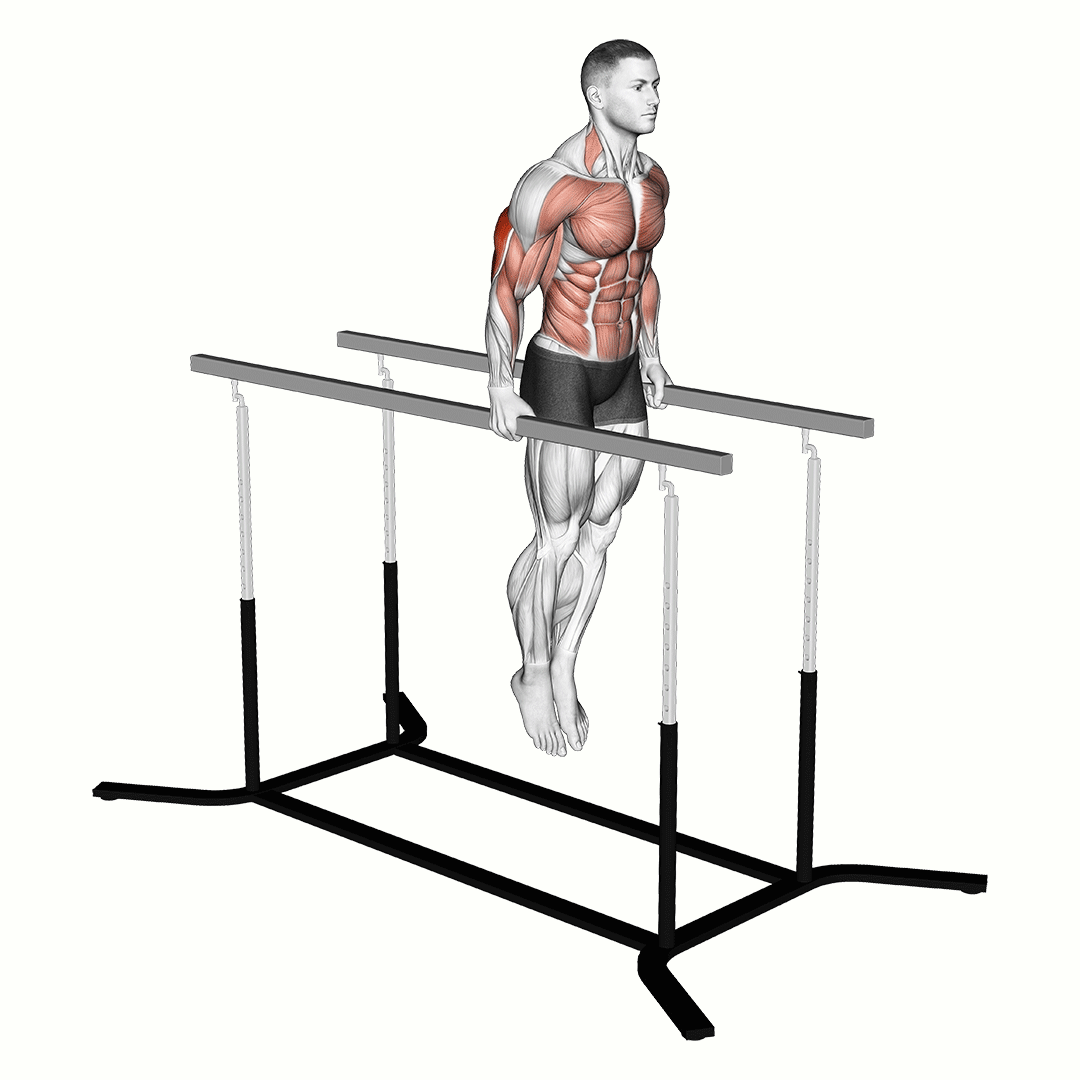 elbow dips