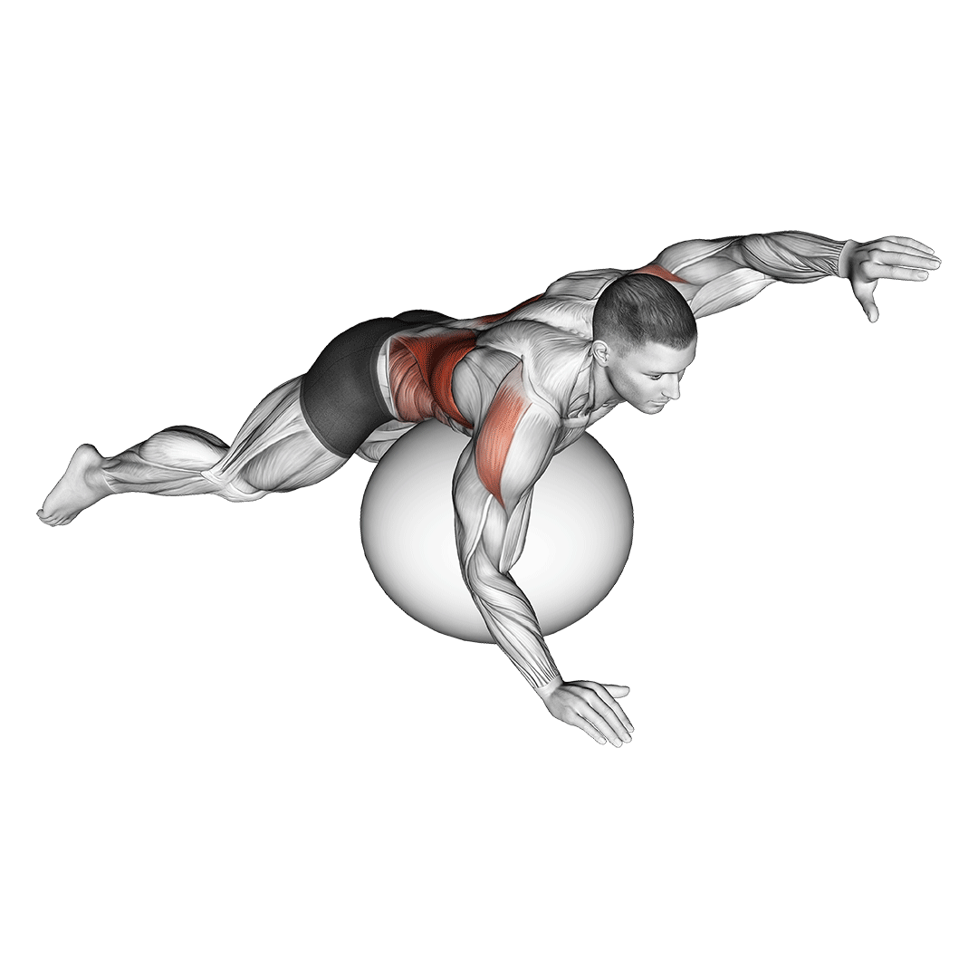 exercise ball alternating arm ups