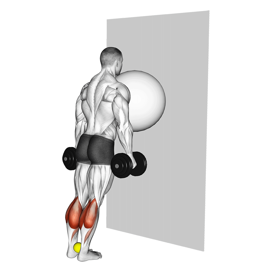 exercise ball on the wall calf raise (tennis ball between ankles)