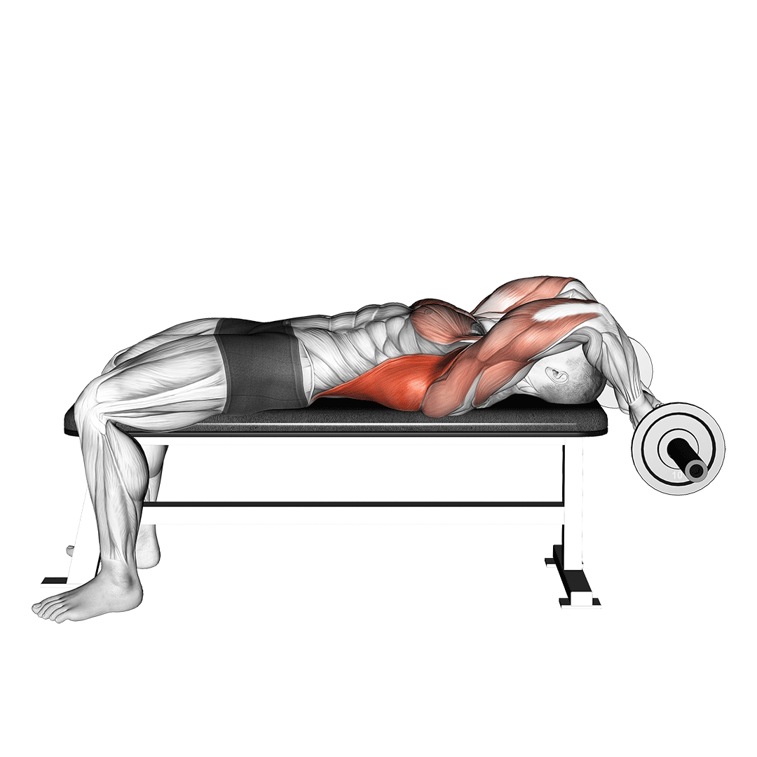 ez bar lying bent arms pullover