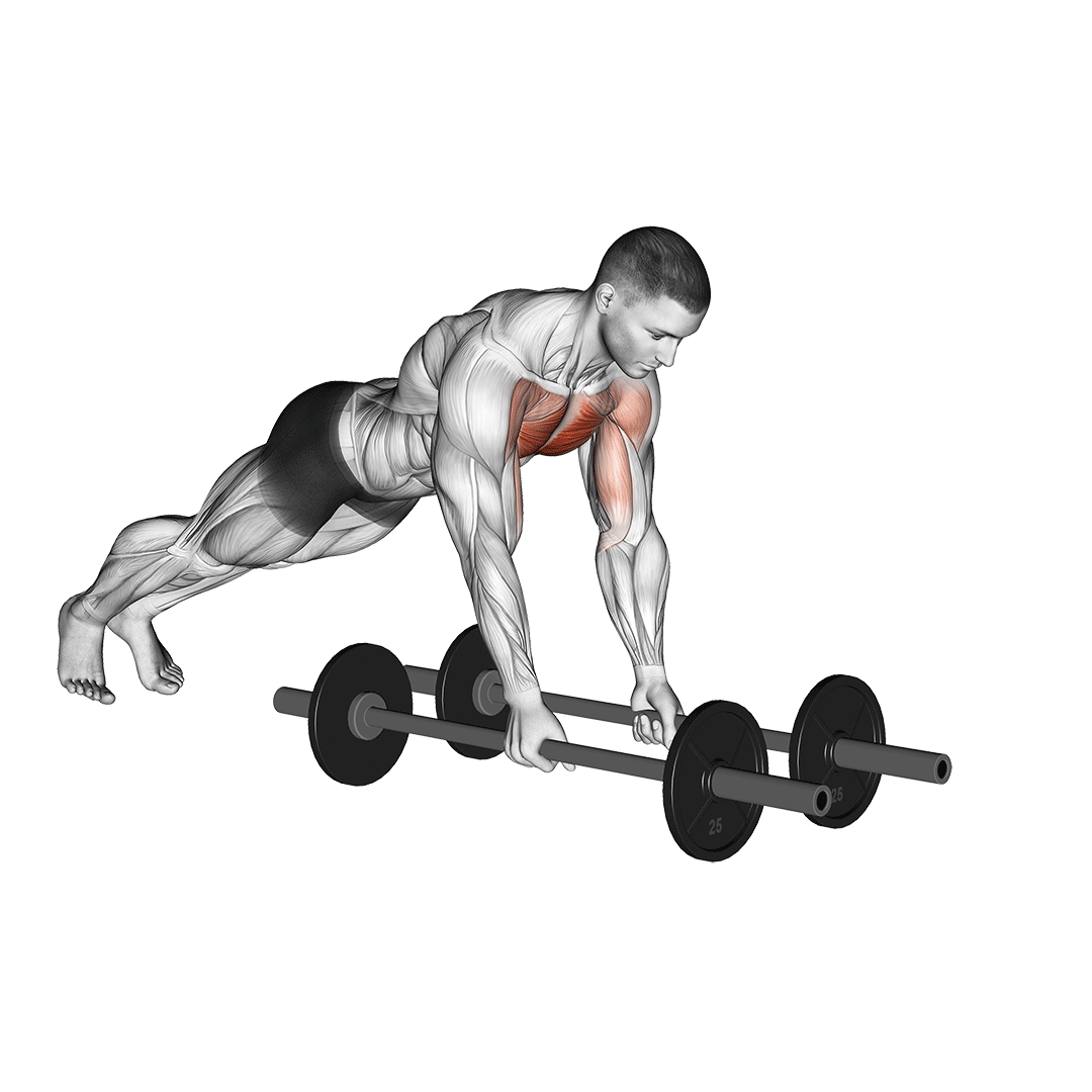 floor fly (with barbell)