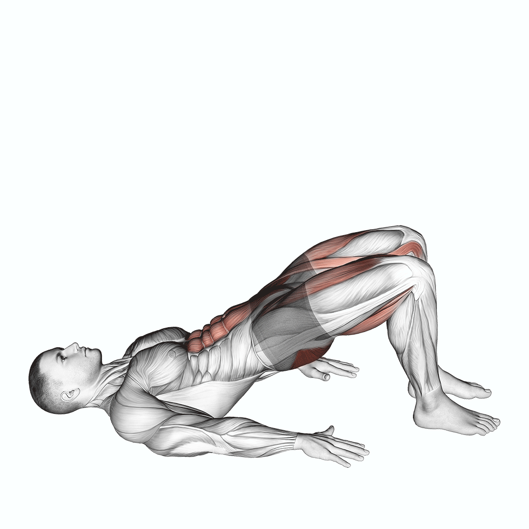 glute bridge marsh