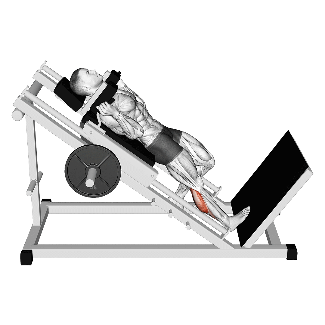hack one leg calf raise
