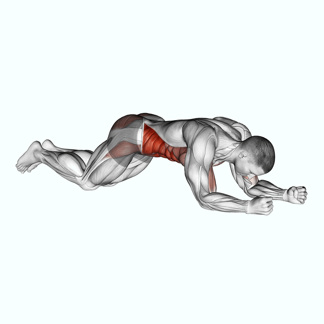 kneeling plank tap shoulder