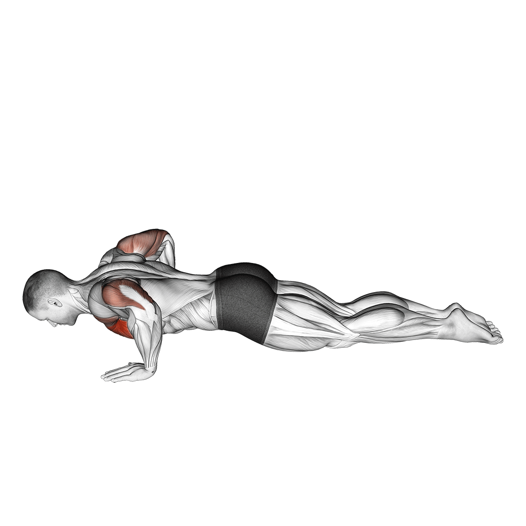 kneeling push-up