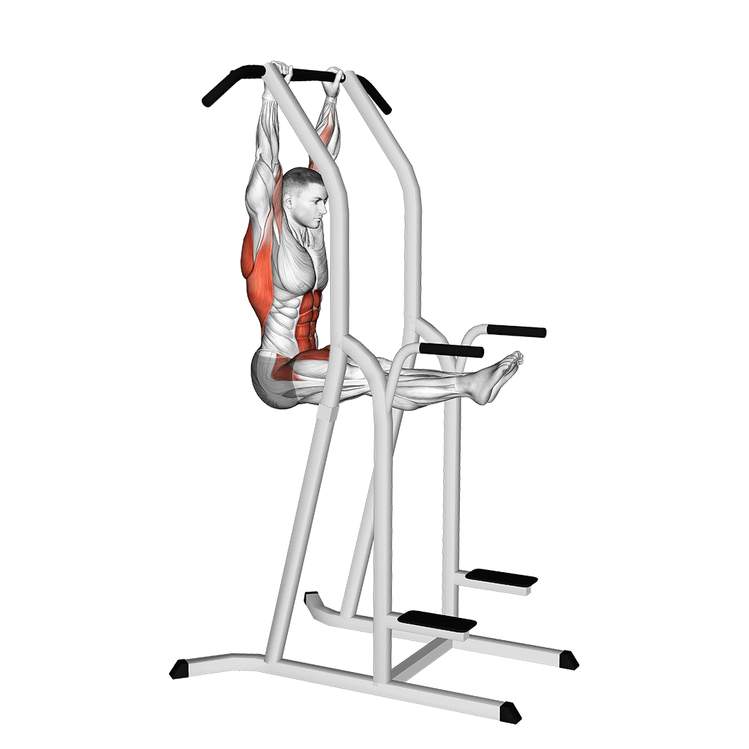 l-pull-up