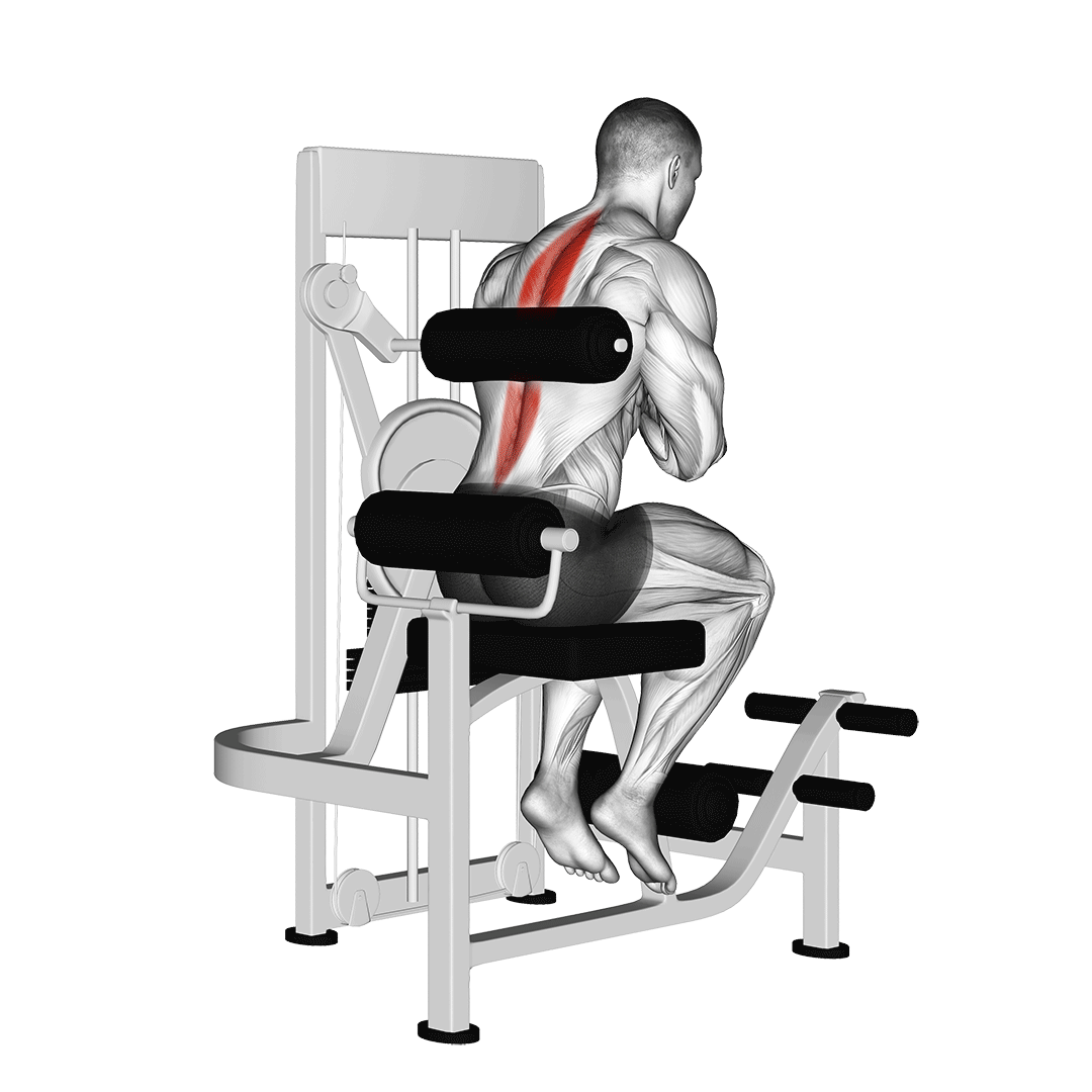 lever back extension