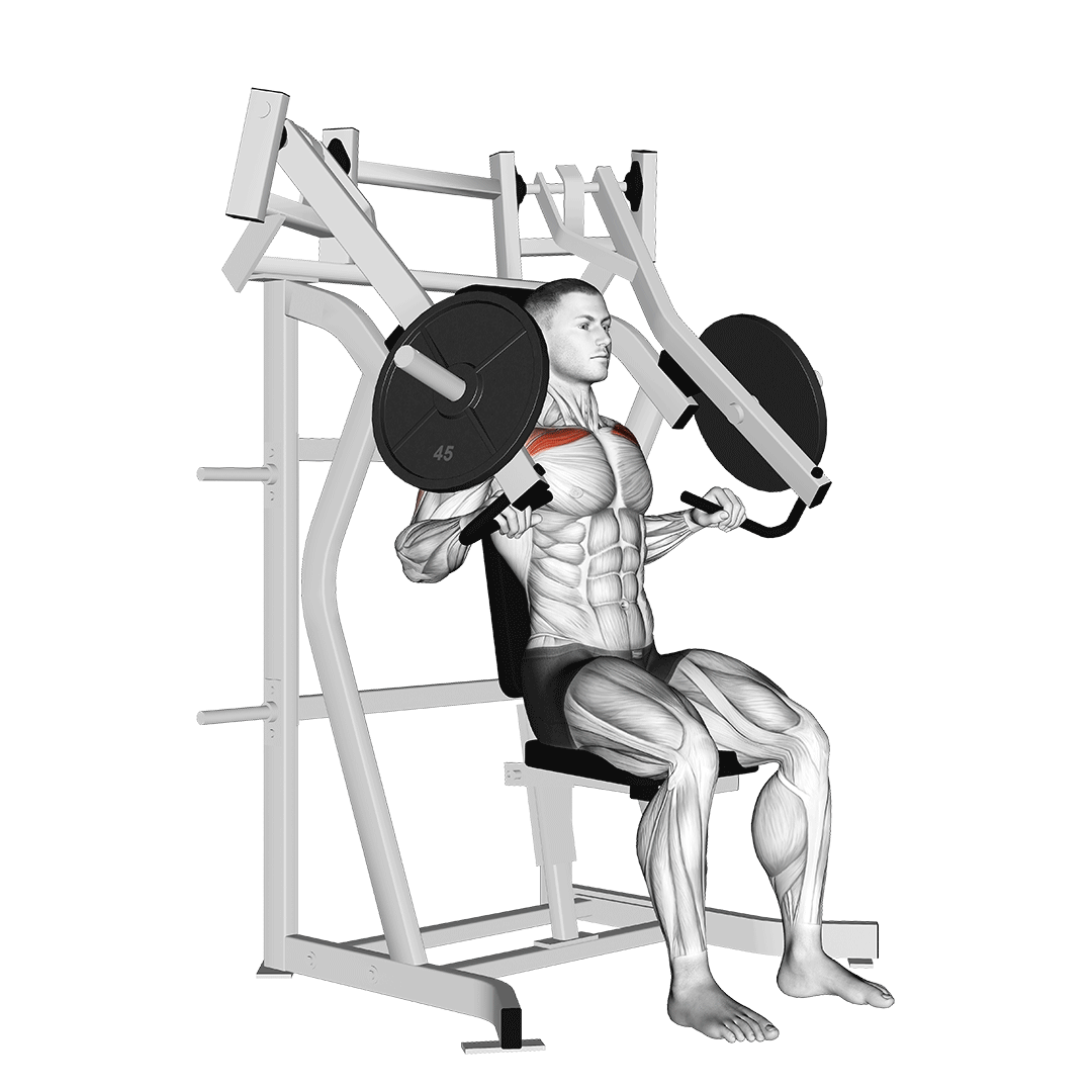 lever incline chest press