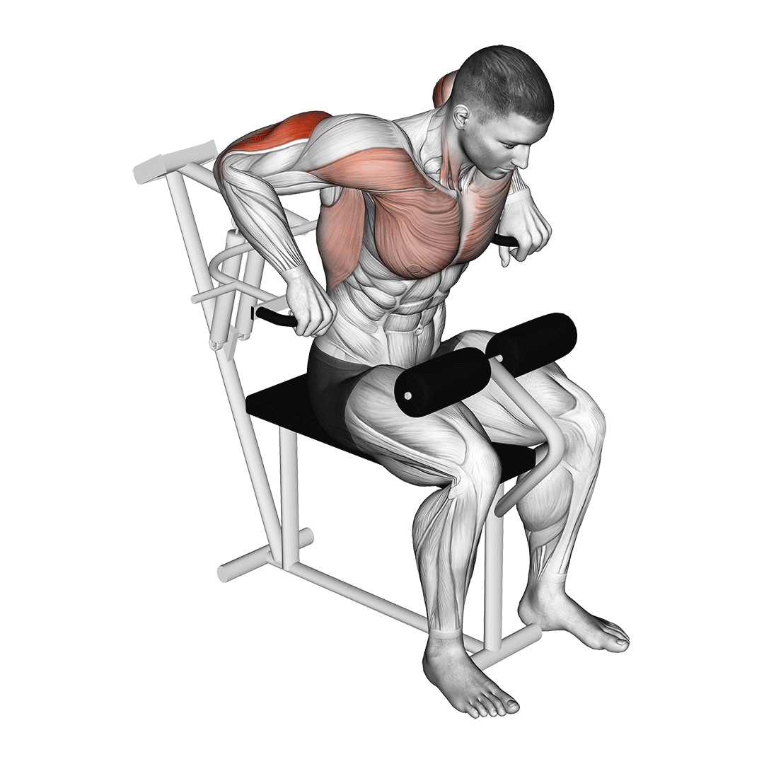 lever overhand triceps dip