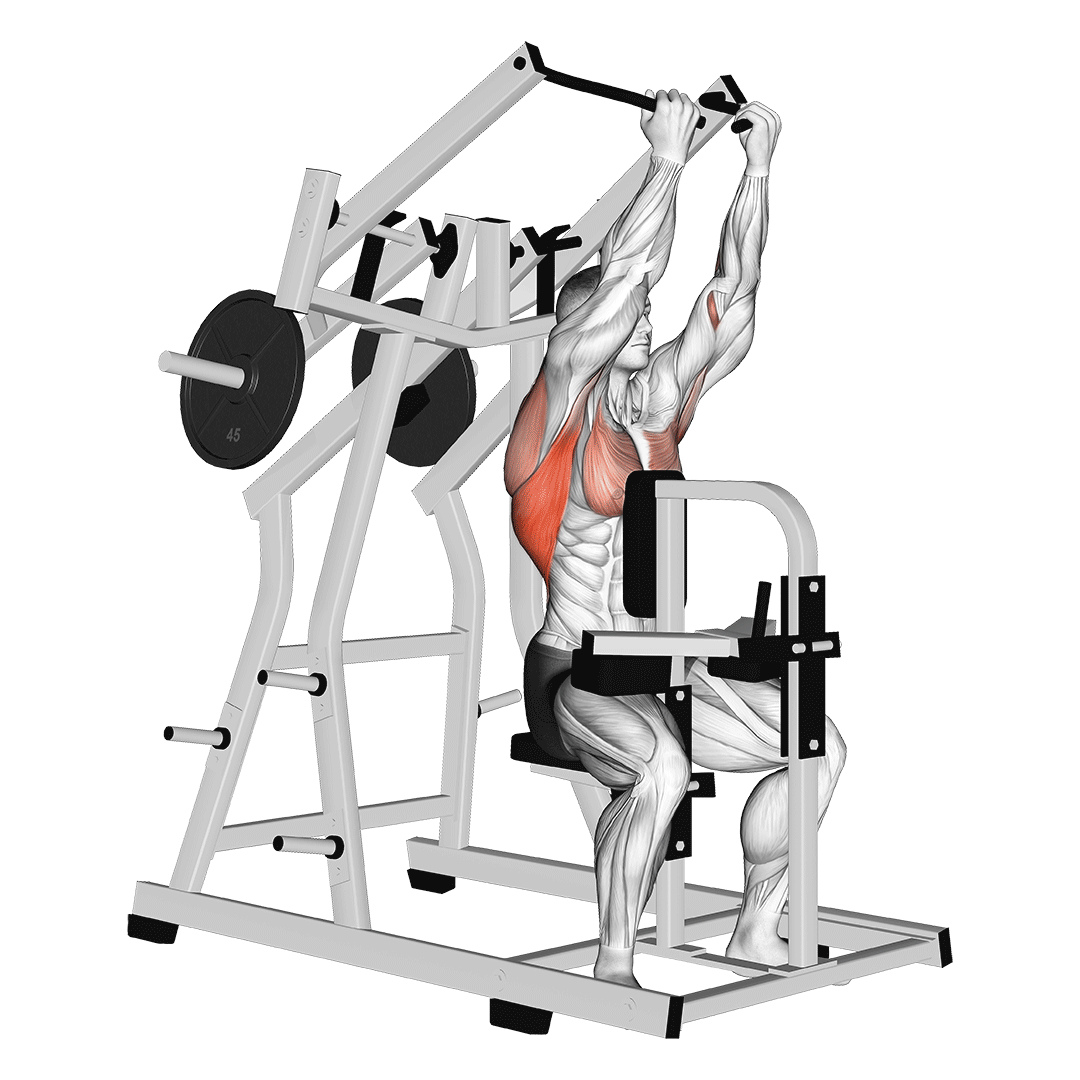 lever reverse grip lateral pulldown