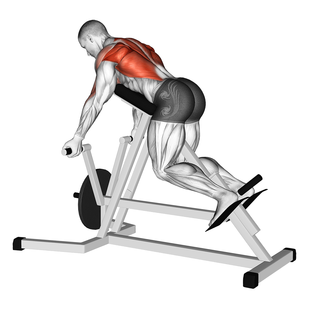 lever reverse t-bar row