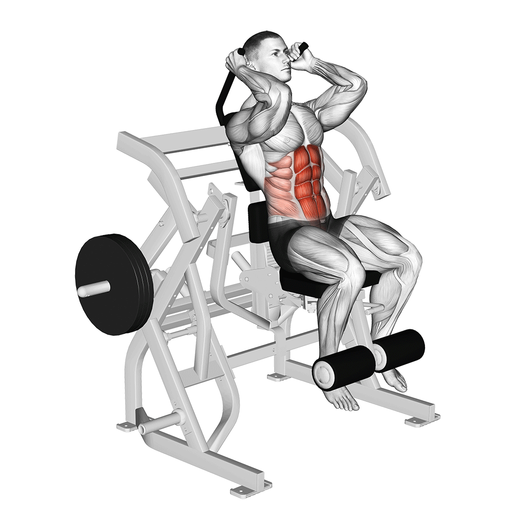 lever seated leg raise crunch