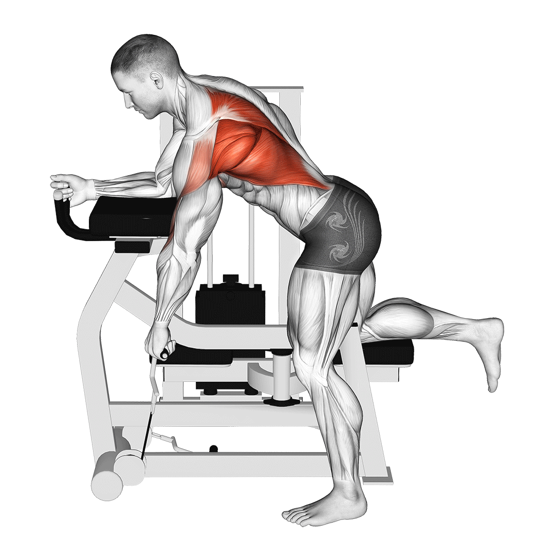 lever unilateral row