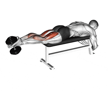 Lying Hamstring Curl