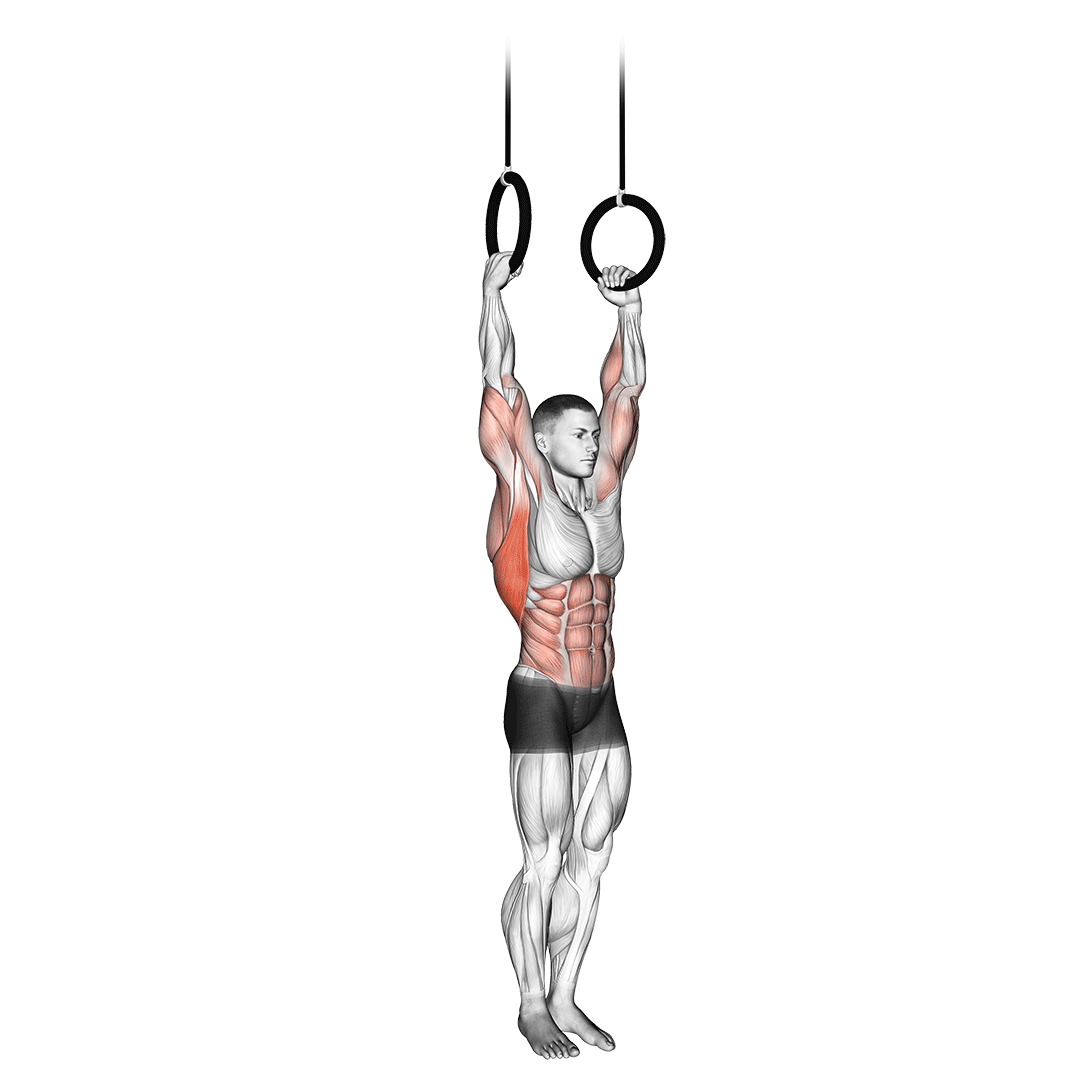 muscle up