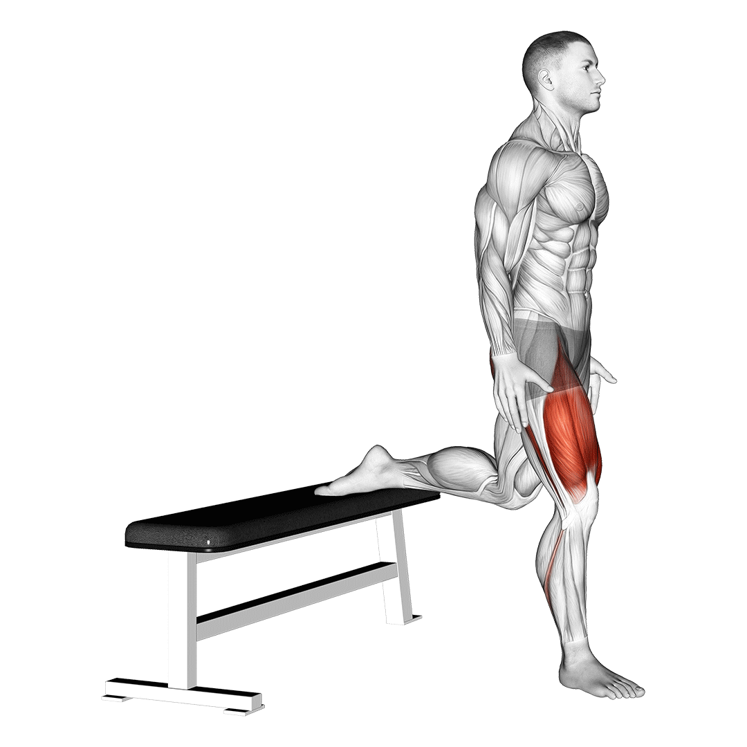 quads (bodyweight squat)