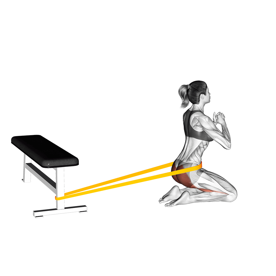 resistance band hip thrusts on knees