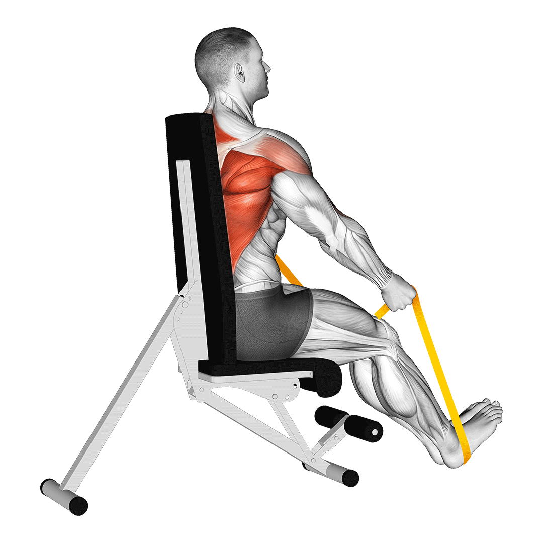resistance band seated straight back row