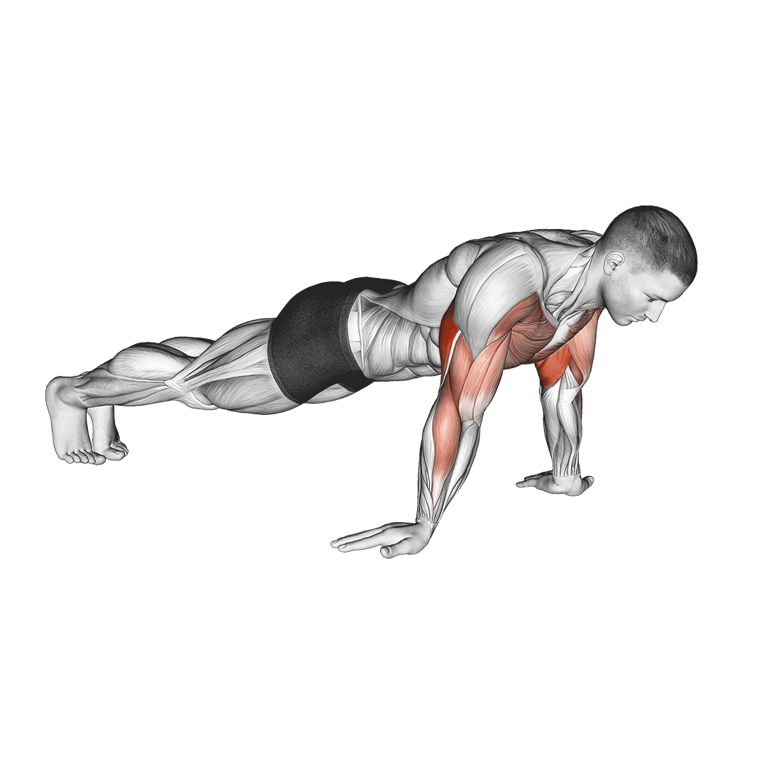 Reverse Grip Push Up