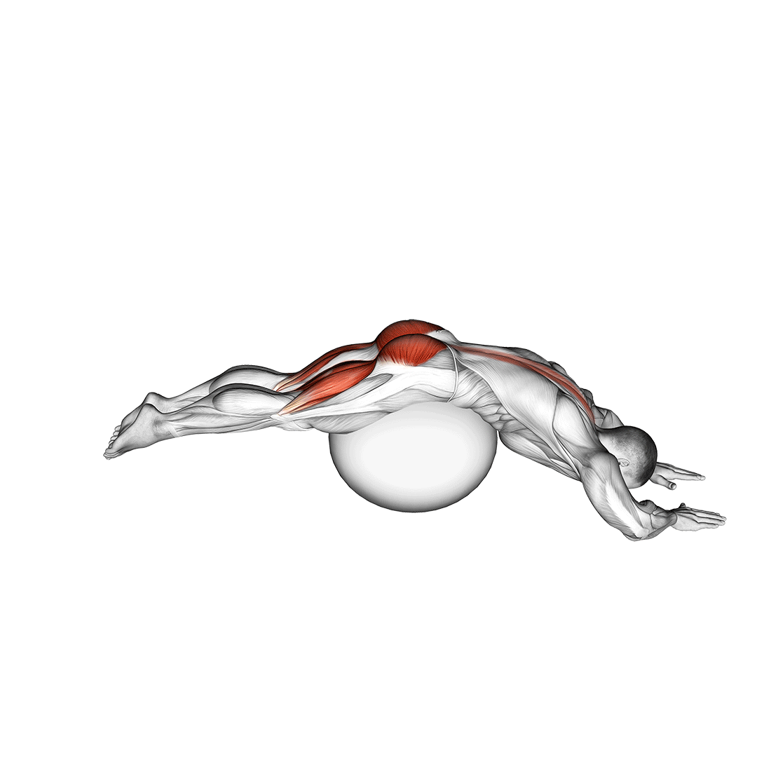 reverse hyper extension (on stability ball)