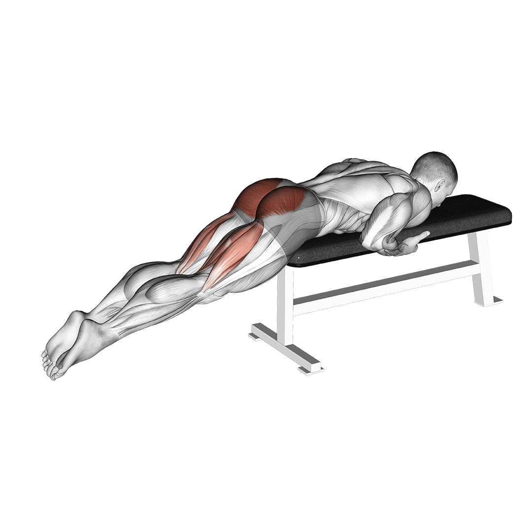 reverse hyper on flat bench