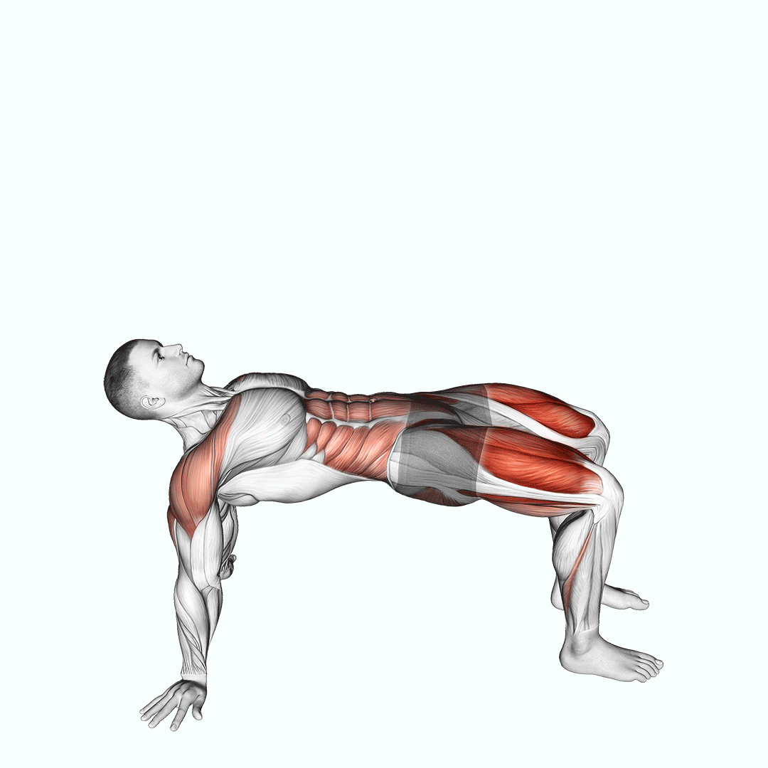 reverse plank with leg lift