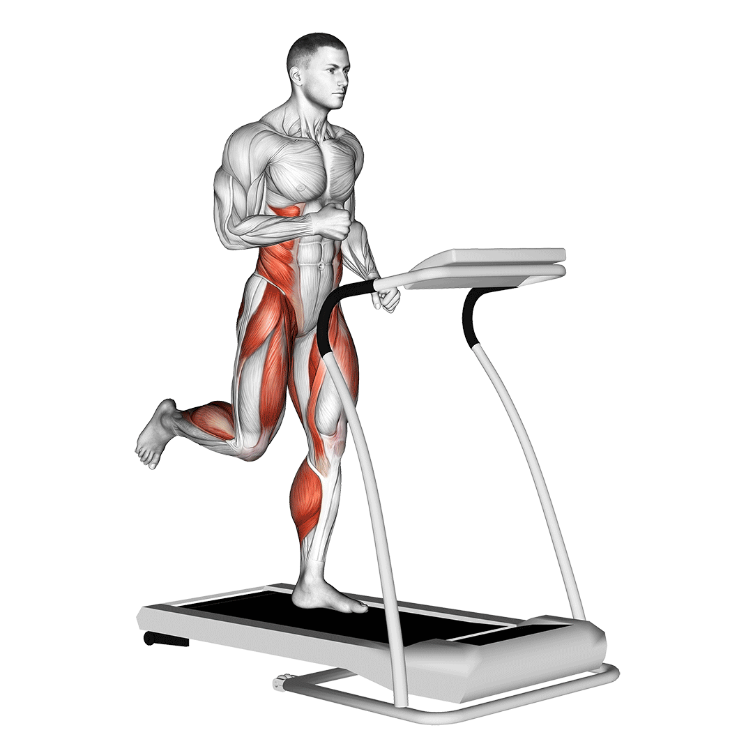 run (equipment)