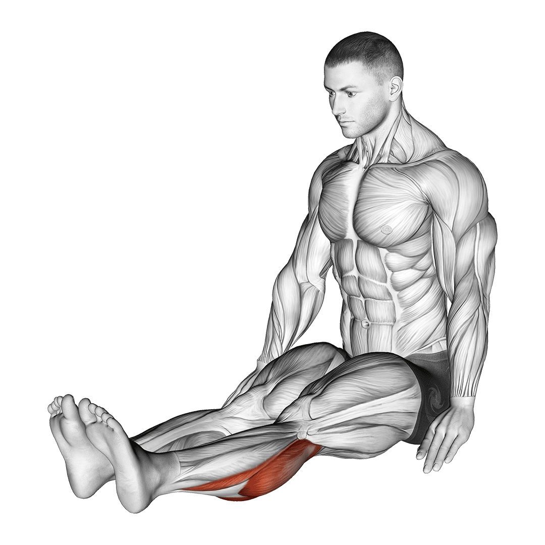 seated calf stretch