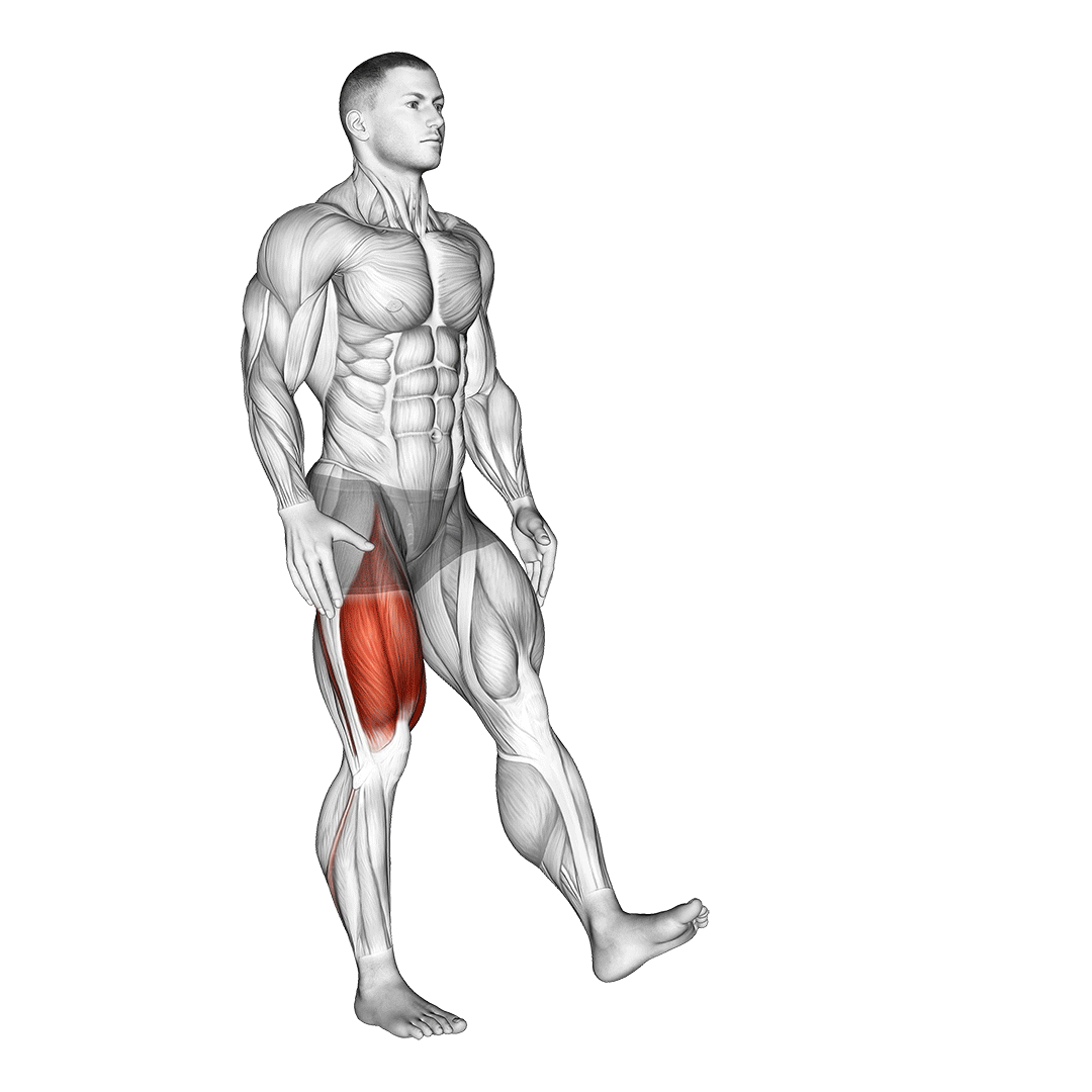 single leg squat (pistol)