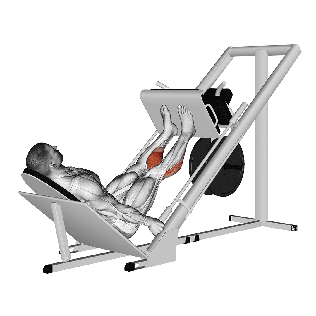 sled 45° calf press