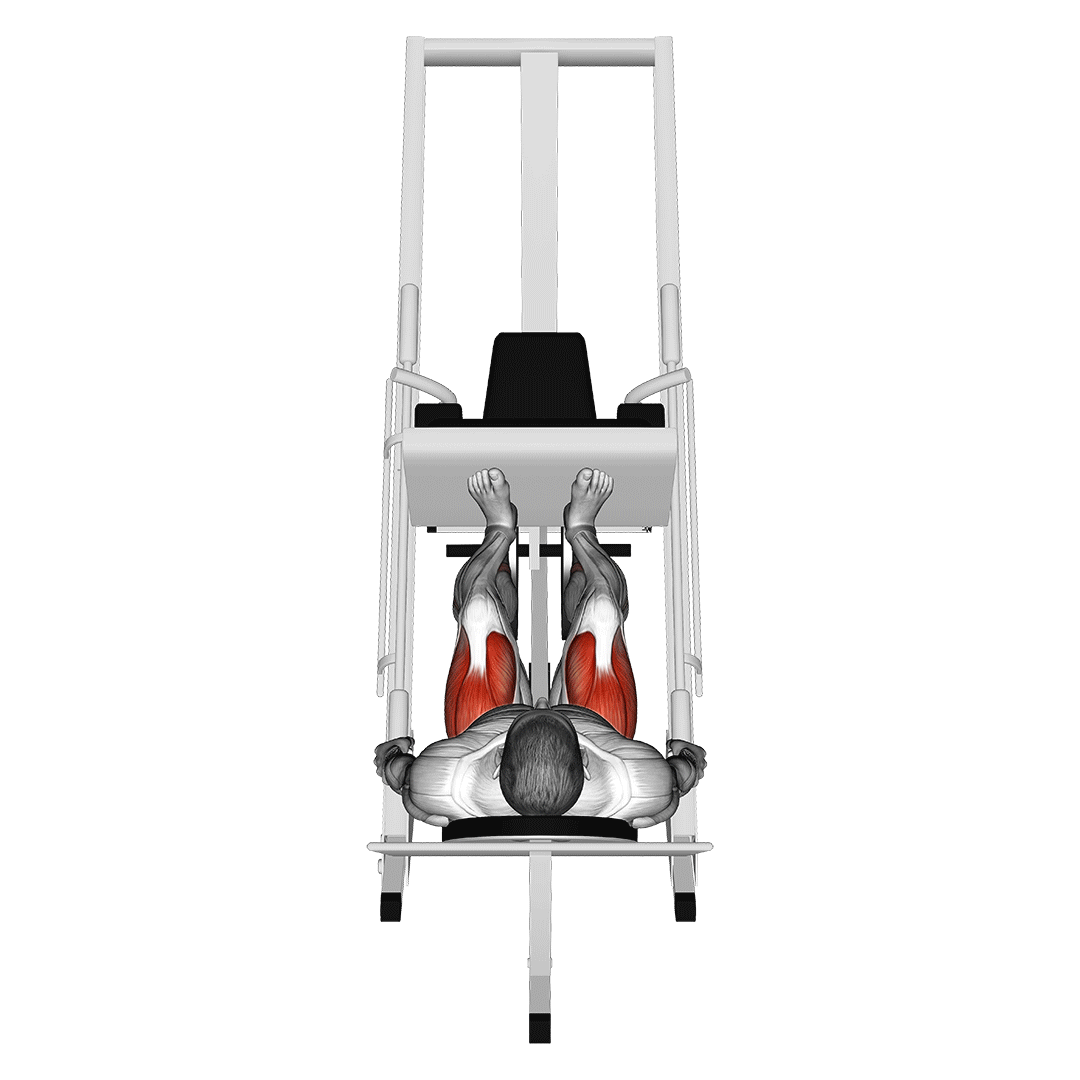 sled 45° leg press (back pov)