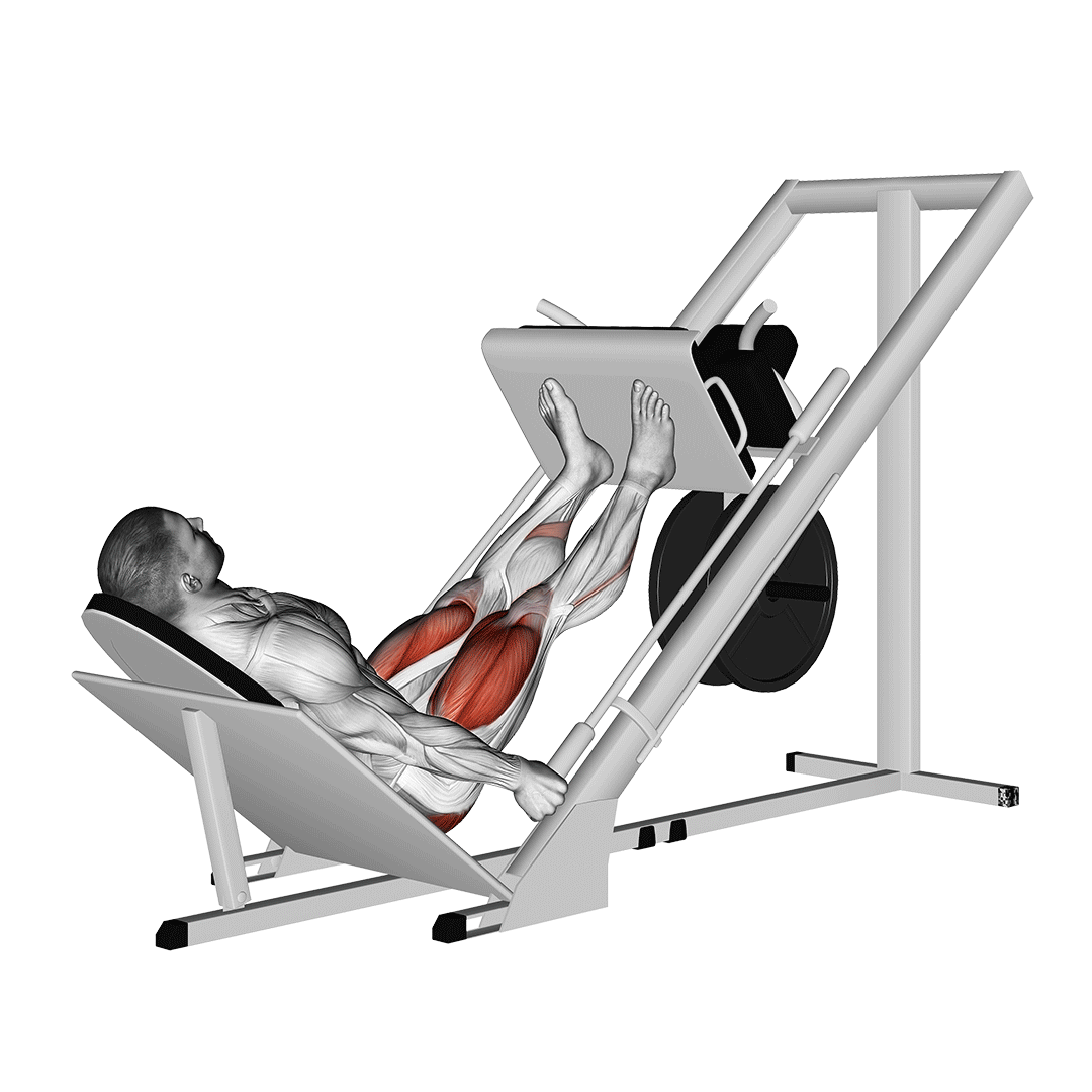 sled 45° leg press
