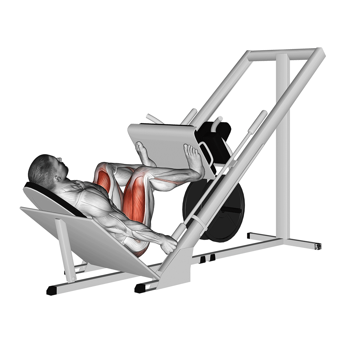 sled 45° leg wide press