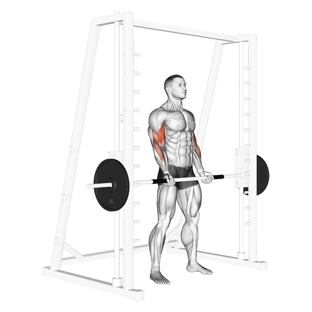 smith machine bicep curl