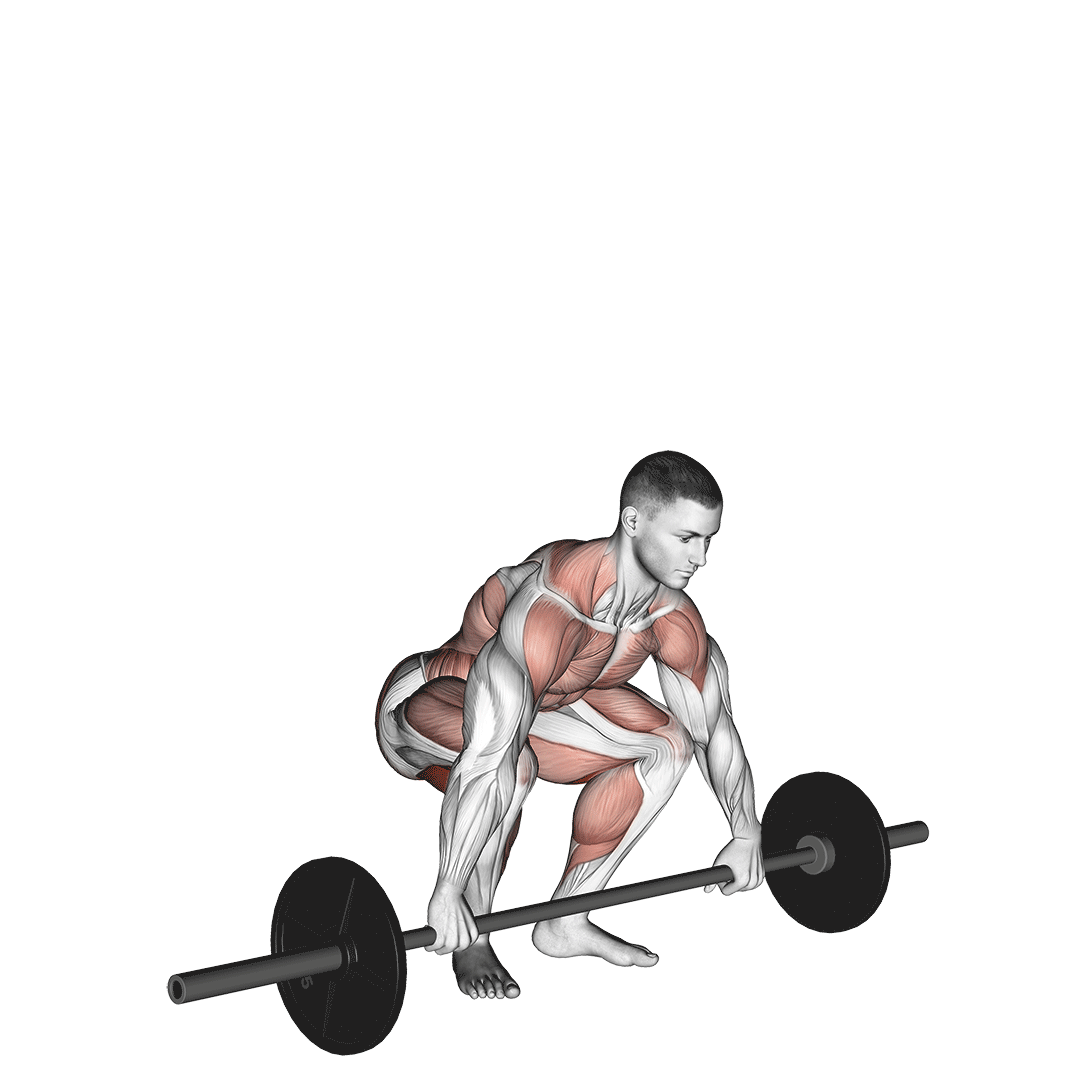 snatch pull