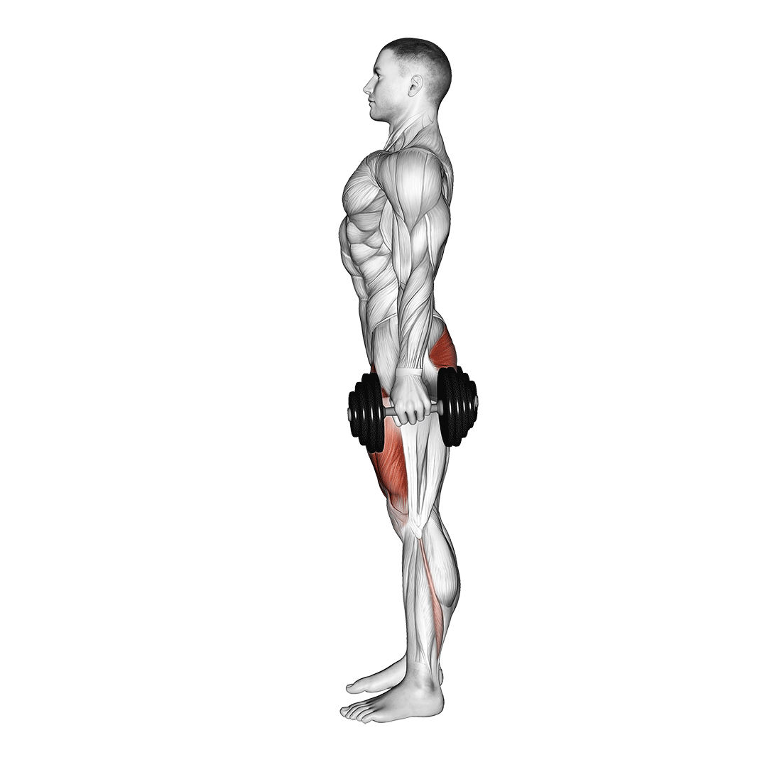 Squat + Romanian Deadlift (Superset)