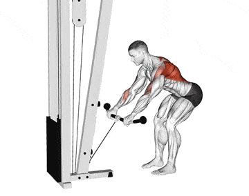 Standing low cable row