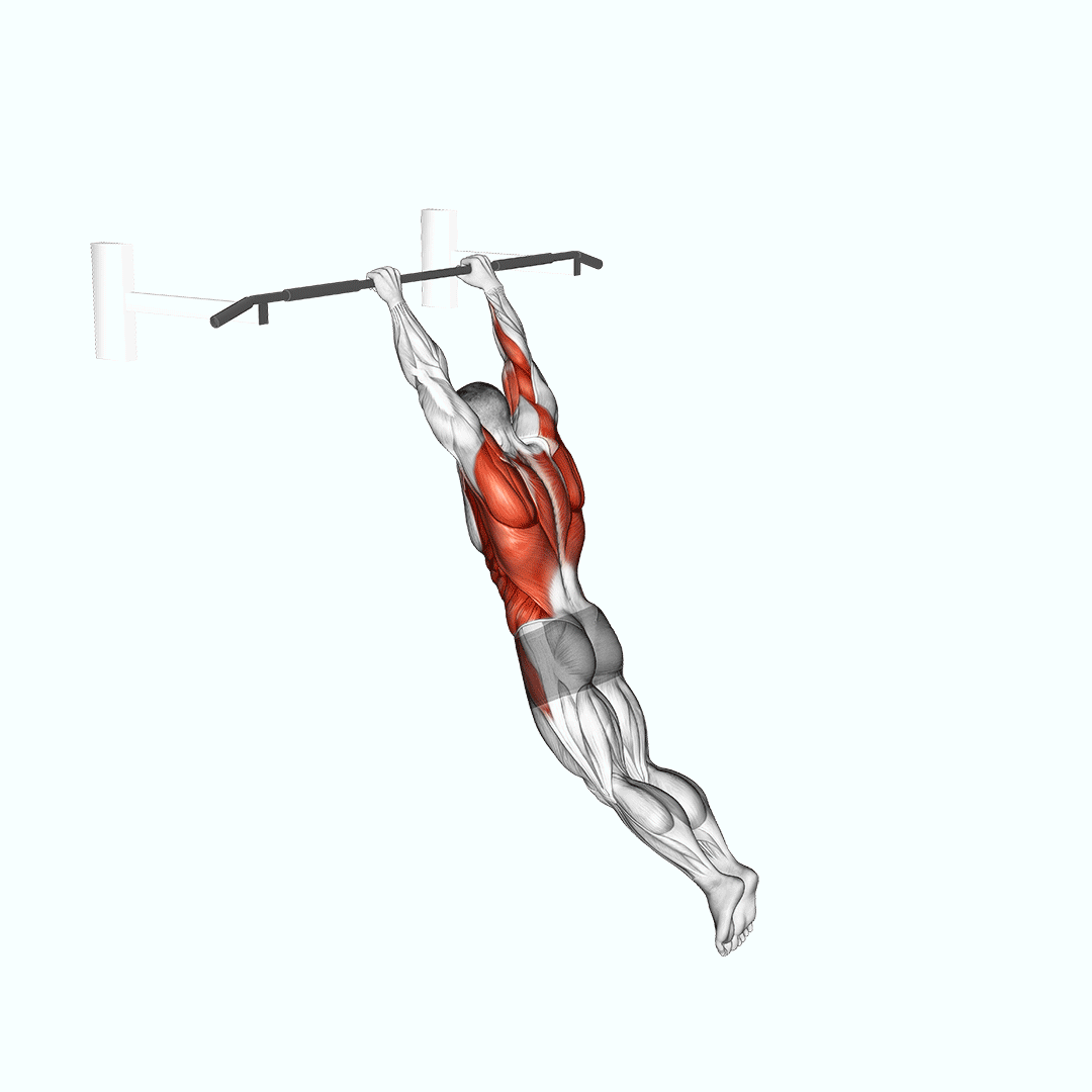 swing 360