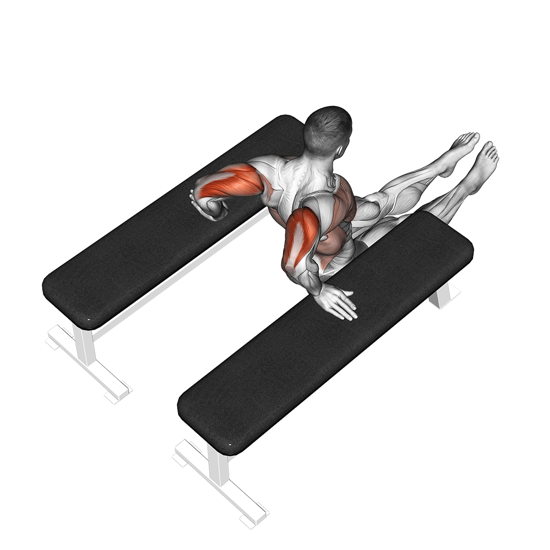 triceps dip (between benches)