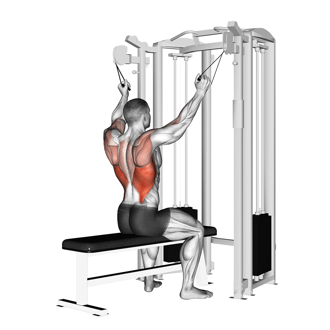 twin handle parallel grip lat pulldown