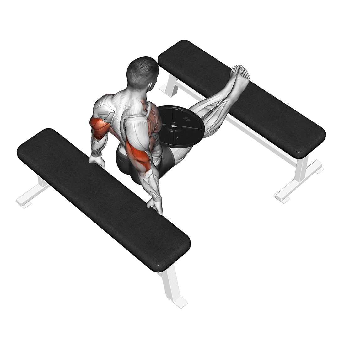 weighted bench dip