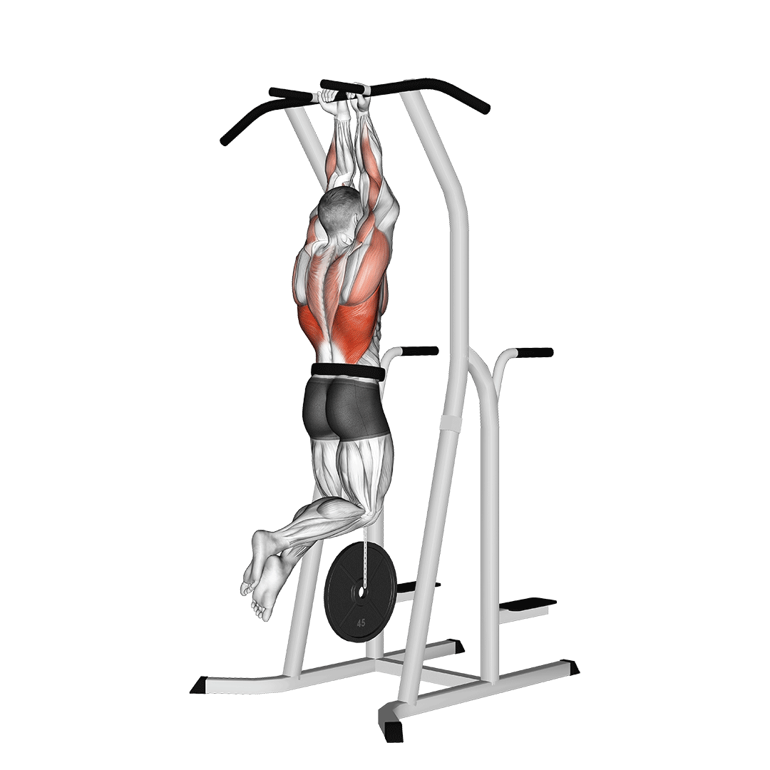 weighted close grip chin-up on dip cage