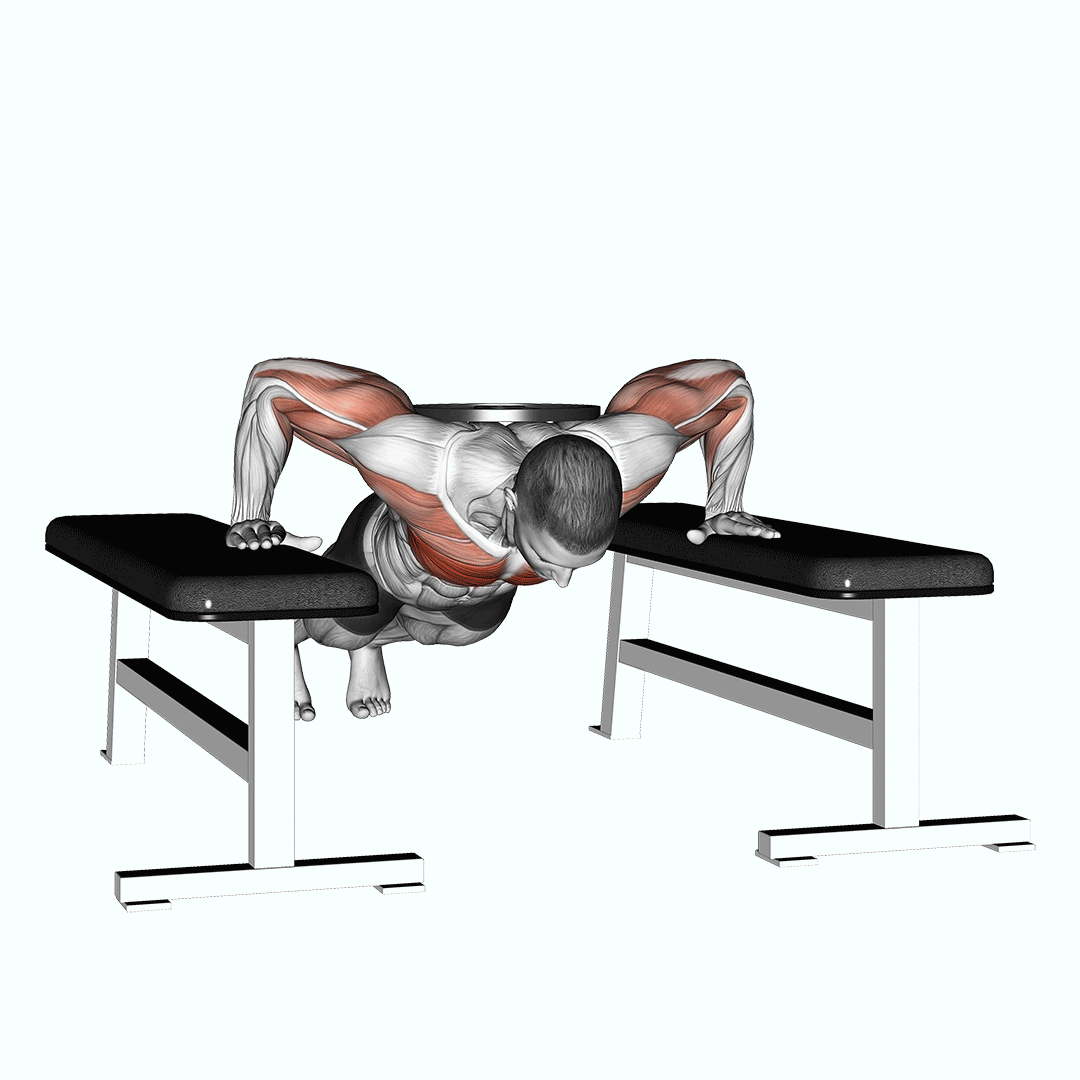 weighted drop push up